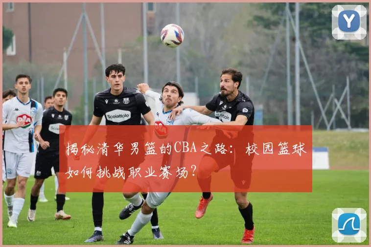 揭秘清华男篮的CBA之路：校园篮球如何挑战职业赛场？